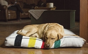 "Glacier National Park Dog Bed" by Pendleton